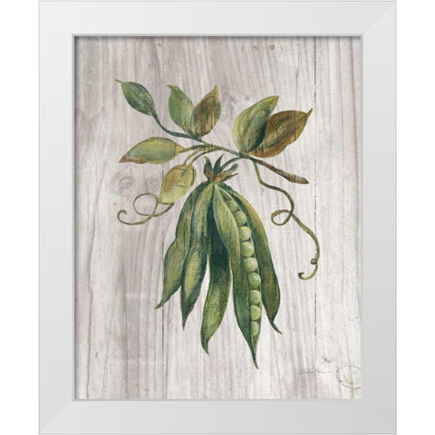 Market Vegetables II White Modern Wood Framed Art Print by Vassileva, Silvia