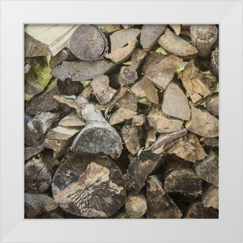 Chopped I Crop White Modern Wood Framed Art Print by Urquhart, Elizabeth