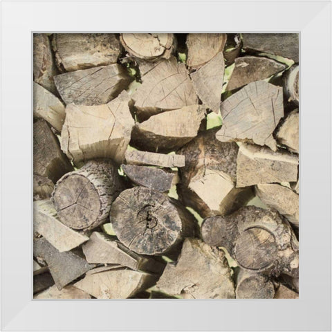 Chopped II Crop White Modern Wood Framed Art Print by Urquhart, Elizabeth