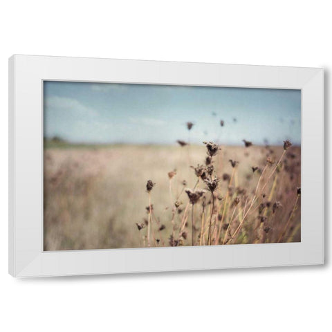 Falling Queen Annes Lace I Crop White Modern Wood Framed Art Print by Urquhart, Elizabeth