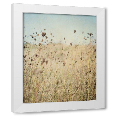 Falling Queen Annes Lace II Crop White Modern Wood Framed Art Print by Urquhart, Elizabeth
