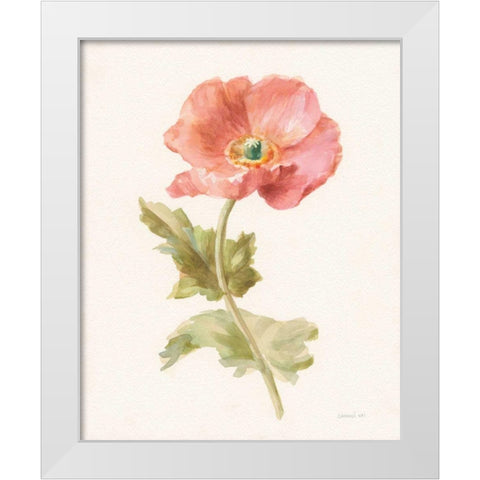 Garden Poppy White Modern Wood Framed Art Print by Nai, Danhui