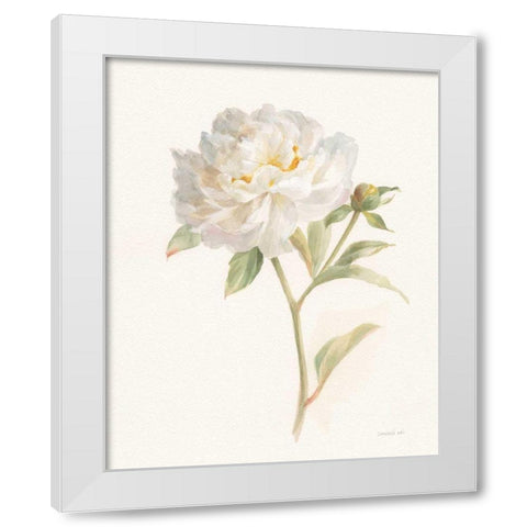 Garden Peony White Modern Wood Framed Art Print by Nai, Danhui