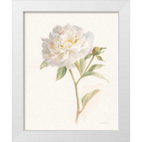 Garden Peony White Modern Wood Framed Art Print by Nai, Danhui