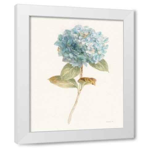 Garden Hydrangea White Modern Wood Framed Art Print by Nai, Danhui