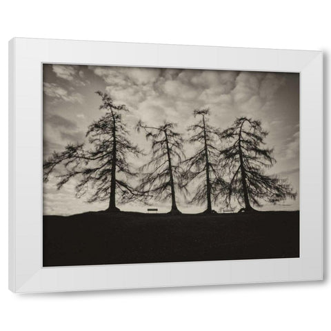 Park Trees White Modern Wood Framed Art Print by Bevan, Keri