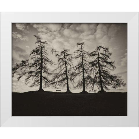 Park Trees White Modern Wood Framed Art Print by Bevan, Keri