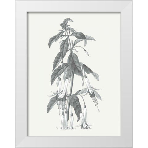Neutral Botanical I White Modern Wood Framed Art Print by Wild Apple Portfolio