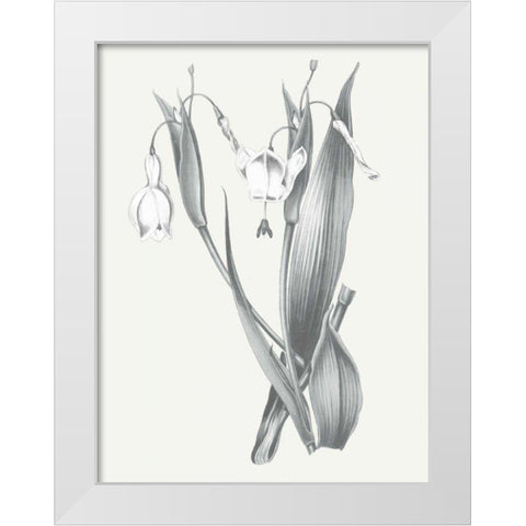 Neutral Botanical II White Modern Wood Framed Art Print by Wild Apple Portfolio