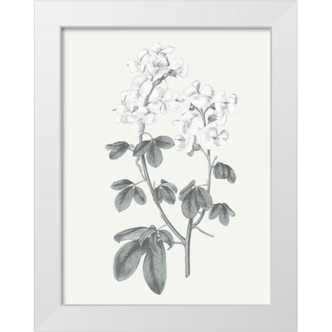 Neutral Botanical III White Modern Wood Framed Art Print by Wild Apple Portfolio