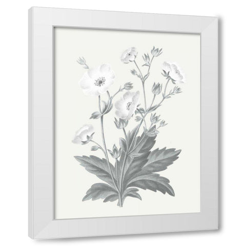 Neutral Botanical VI White Modern Wood Framed Art Print by Wild Apple Portfolio