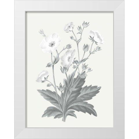 Neutral Botanical VI White Modern Wood Framed Art Print by Wild Apple Portfolio