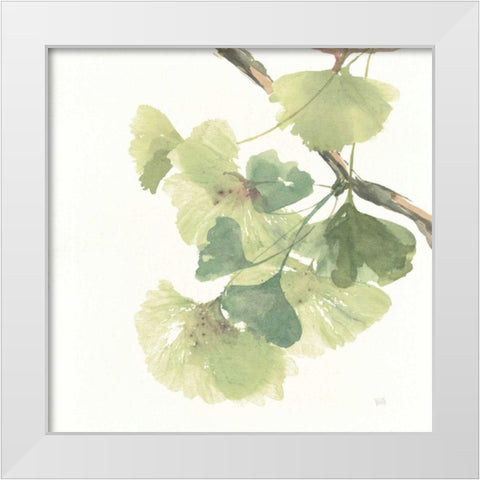 Gingko Leaves II on White White Modern Wood Framed Art Print by Paschke, Chris