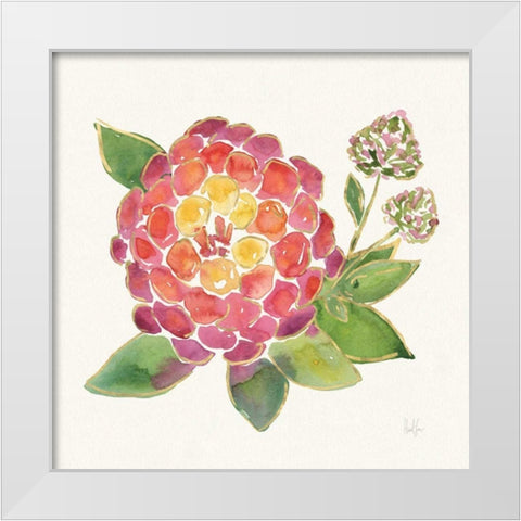 Tropical Fun Flowers II with Gold White Modern Wood Framed Art Print by Sussman, Harriet