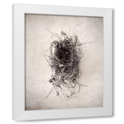 Nest II White Modern Wood Framed Art Print by Van Swearingen, Debra