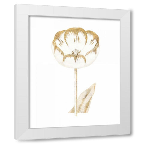 Gilded Botanical V White Modern Wood Framed Art Print by Wild Apple Portfolio
