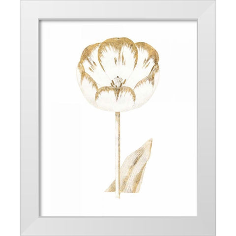 Gilded Botanical V White Modern Wood Framed Art Print by Wild Apple Portfolio