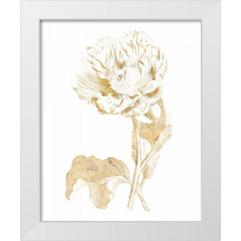 Gilded Botanical VII White Modern Wood Framed Art Print by Wild Apple Portfolio