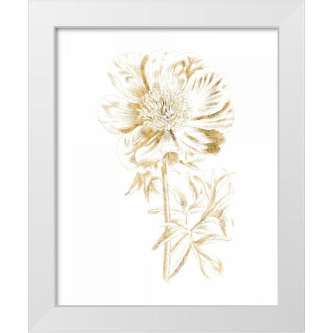 Gilded Botanical VIII White Modern Wood Framed Art Print by Wild Apple Portfolio
