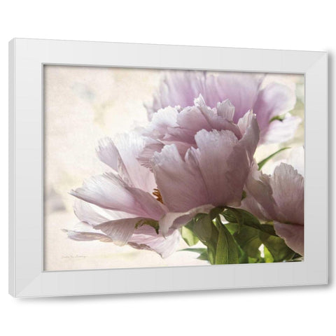 Translucent Peony I White Modern Wood Framed Art Print by Van Swearingen, Debra