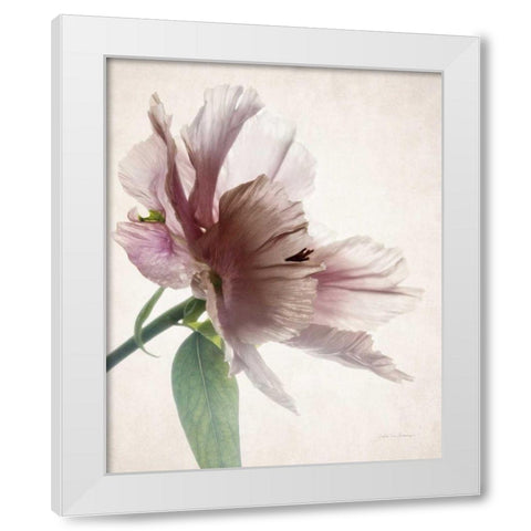 Translucent Peony II White Modern Wood Framed Art Print by Van Swearingen, Debra