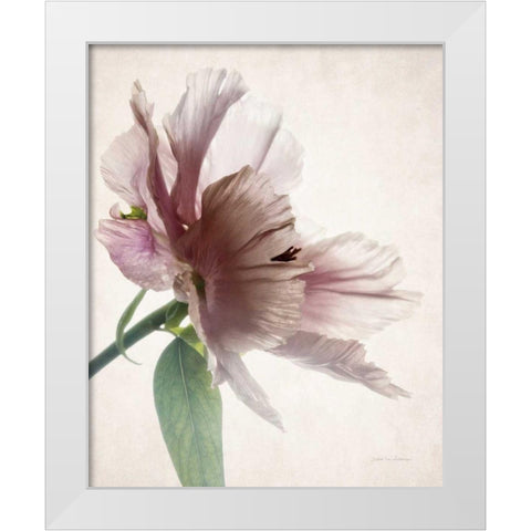Translucent Peony II White Modern Wood Framed Art Print by Van Swearingen, Debra