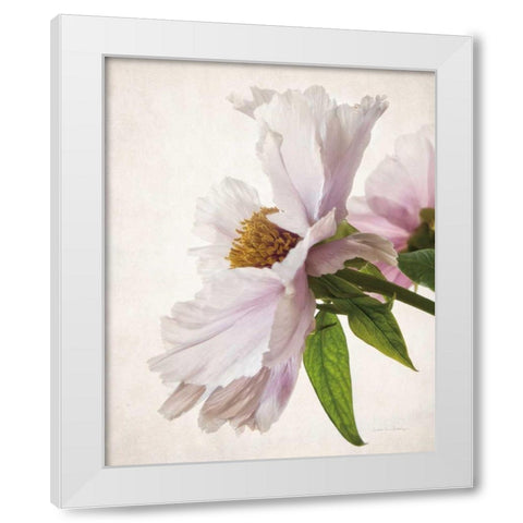 Translucent Peony IV White Modern Wood Framed Art Print by Van Swearingen, Debra