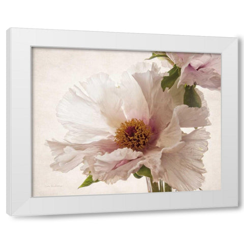 Translucent Peony V White Modern Wood Framed Art Print by Van Swearingen, Debra