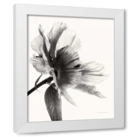 Translucent Peony IIBW White Modern Wood Framed Art Print by Van Swearingen, Debra