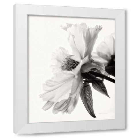 Translucent Peony IVBW White Modern Wood Framed Art Print by Van Swearingen, Debra
