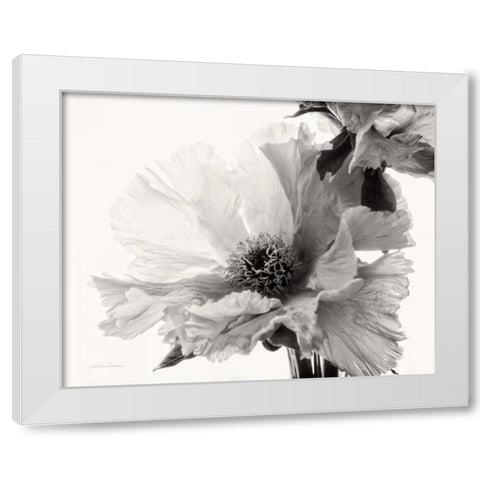 Translucent Peony VBW White Modern Wood Framed Art Print by Van Swearingen, Debra