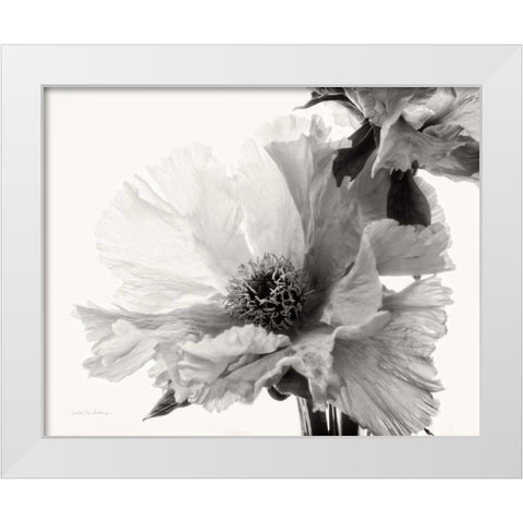 Translucent Peony VBW White Modern Wood Framed Art Print by Van Swearingen, Debra
