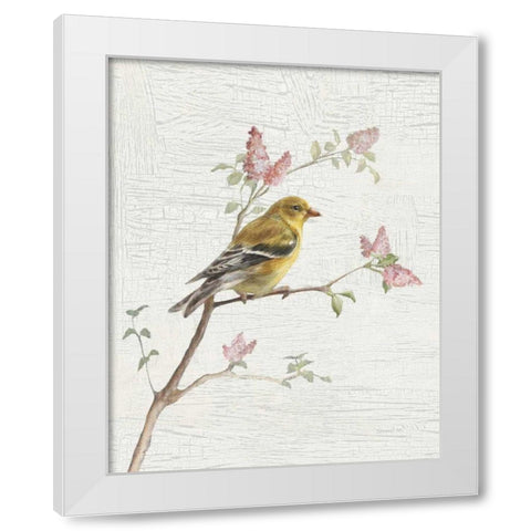 Female Goldfinch Vintage v2 White Modern Wood Framed Art Print by Nai, Danhui