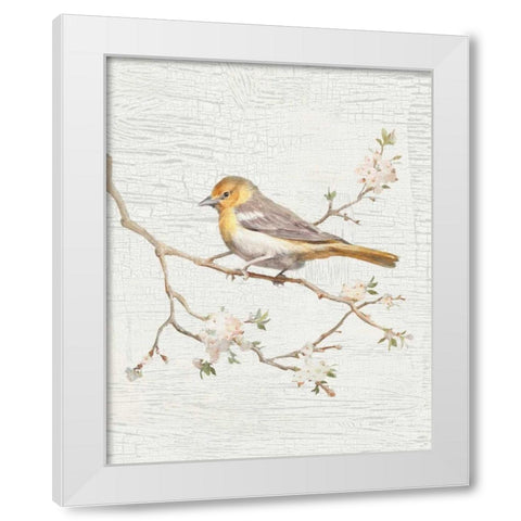 Northern Oriole Vintage v2 White Modern Wood Framed Art Print by Nai, Danhui