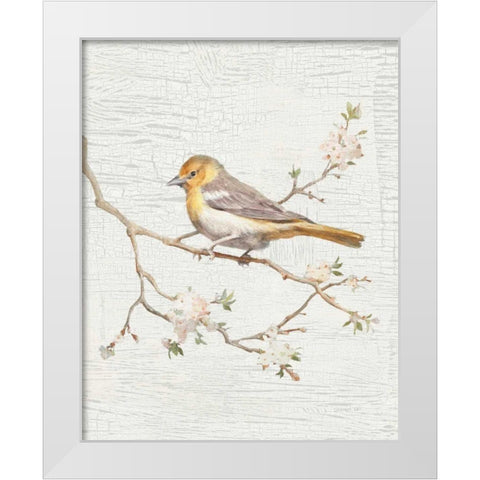 Northern Oriole Vintage v2 White Modern Wood Framed Art Print by Nai, Danhui