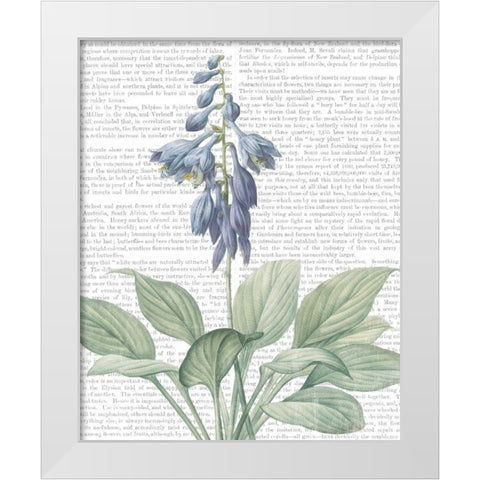 Summer Botanicals II White Modern Wood Framed Art Print by Wild Apple Portfolio