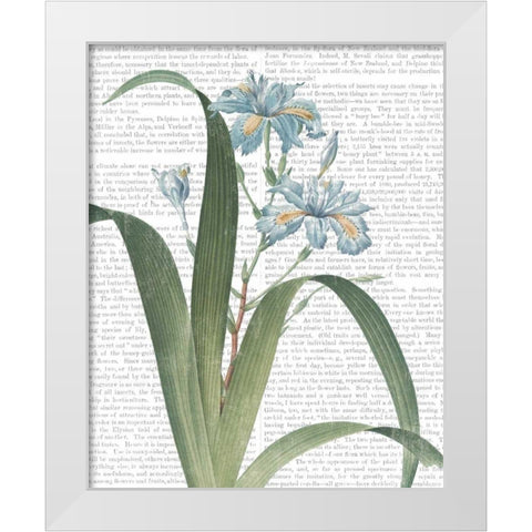 Summer Botanicals III White Modern Wood Framed Art Print by Wild Apple Portfolio