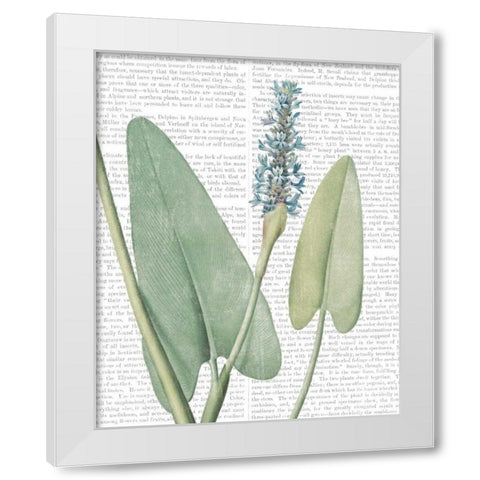 Summer Botanicals IV White Modern Wood Framed Art Print by Wild Apple Portfolio