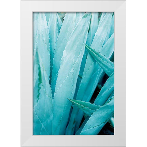Abstract Agava I Color White Modern Wood Framed Art Print by Urquhart, Elizabeth