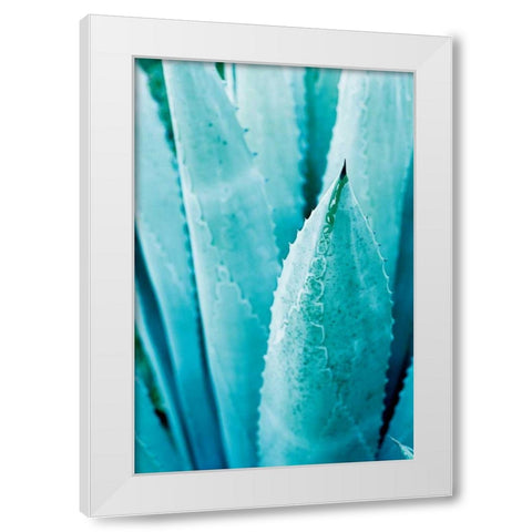 Abstract Agava II Color White Modern Wood Framed Art Print by Urquhart, Elizabeth