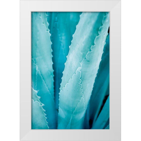 Abstract Agava III Color White Modern Wood Framed Art Print by Urquhart, Elizabeth