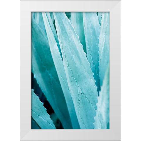 Abstract Agava IV Color White Modern Wood Framed Art Print by Urquhart, Elizabeth