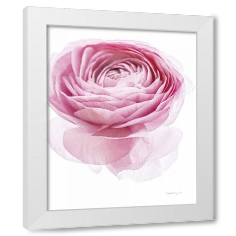 Pink Lady I White Modern Wood Framed Art Print by Urquhart, Elizabeth