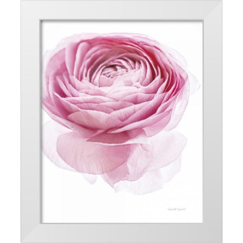 Pink Lady I White Modern Wood Framed Art Print by Urquhart, Elizabeth