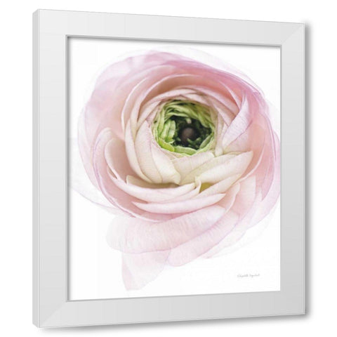 Pink Lady II White Modern Wood Framed Art Print by Urquhart, Elizabeth