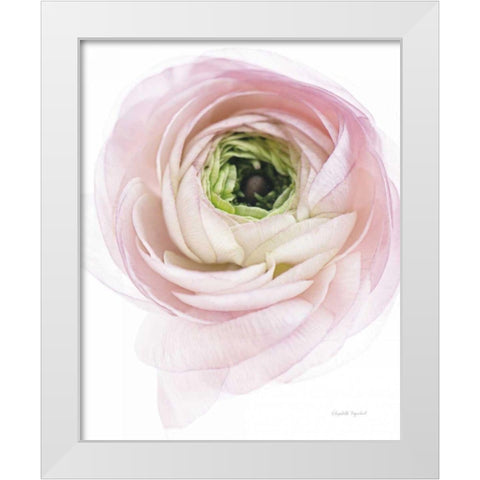 Pink Lady II White Modern Wood Framed Art Print by Urquhart, Elizabeth