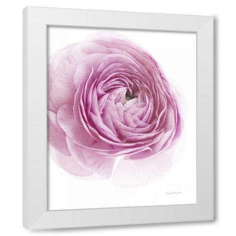 Pink Lady III White Modern Wood Framed Art Print by Urquhart, Elizabeth