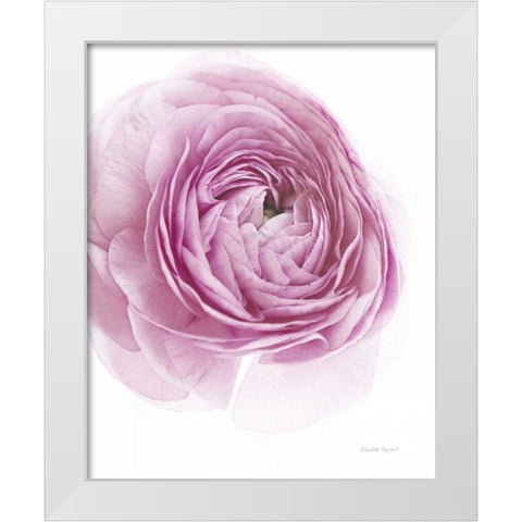 Pink Lady III White Modern Wood Framed Art Print by Urquhart, Elizabeth