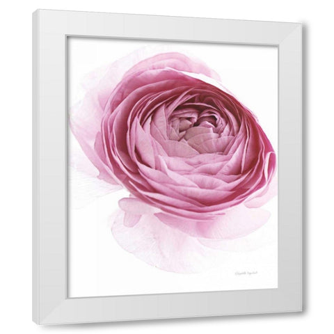 Pink Lady IV White Modern Wood Framed Art Print by Urquhart, Elizabeth