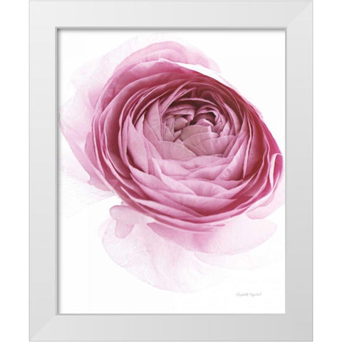 Pink Lady IV White Modern Wood Framed Art Print by Urquhart, Elizabeth